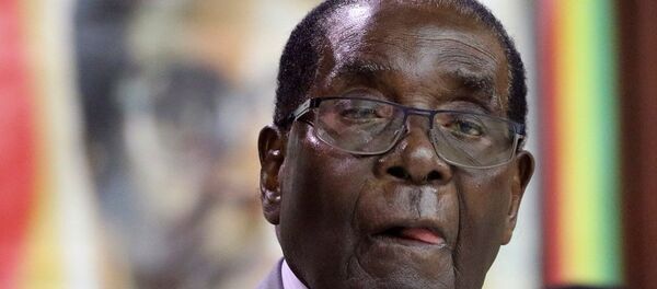 L'année 2017 a été la dernière du règne du Président Robert Mugabe L'année 2017 a été la dernière du règne du Président Robert Mugabe - Sputnik Afrique
