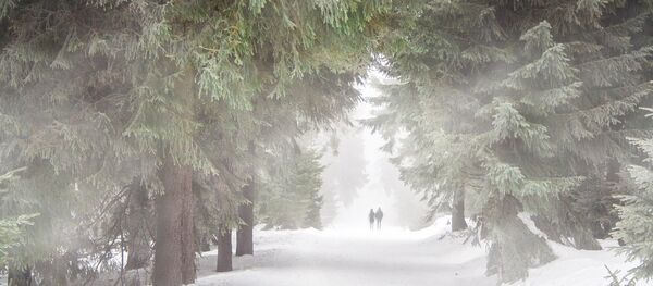 Tempête de neige - Sputnik Afrique