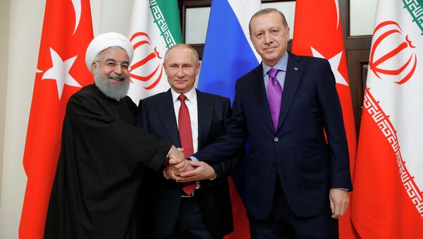 La réunion tripartite des Présidents russe, turc et iranien sur l'avenir de la Syrie qui s’est tenue mercredi à Sotchi - Sputnik Afrique