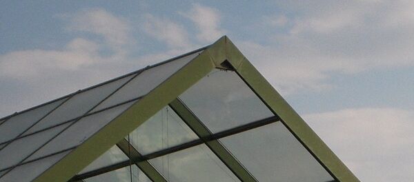 Auchan - Sputnik Afrique