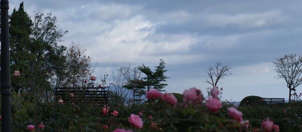 Crimée - Sputnik Afrique