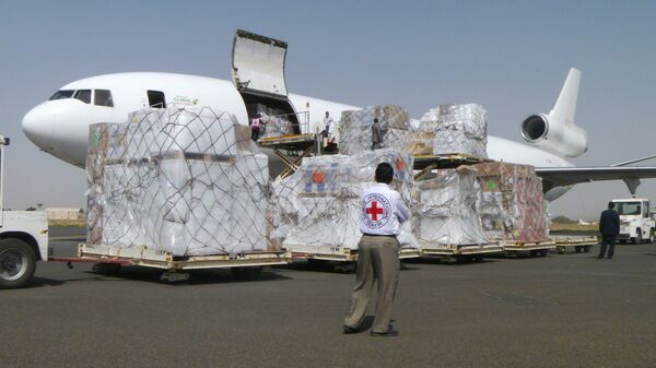 Un avion du CICR  - Sputnik Afrique