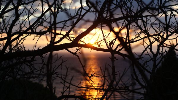 Le lever du soleil près de la mer Noire. La maison de cure Aï-Petri. - Sputnik Afrique