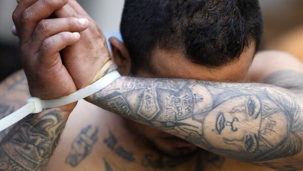 An alleged member of the Mara Salvatrucha gang covers his face after being detained during a police raid in San Salvador, El Salvador, Friday, Jan. 31, 2014. - Sputnik Afrique