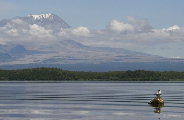Le volcan Chiveloutch, au Kamtchatka Le volcan Chiveloutch, au Kamtchatka - Sputnik Afrique