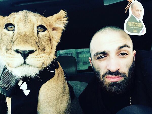 La lionne Légende  - Sputnik Afrique