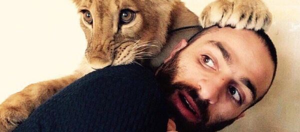 La lionne Légende - Sputnik Afrique