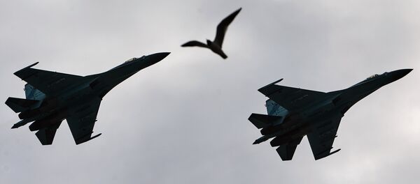 Des chasseurs Su-27 - Sputnik Afrique