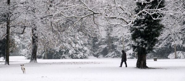 Strasbourg snow - Sputnik Afrique