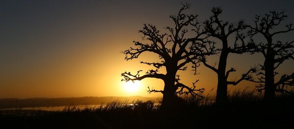 Senegal - Sputnik Afrique