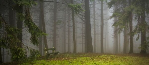 pins - Sputnik Afrique