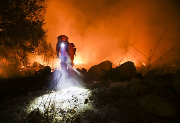 Les feux de forêt en Californie - Sputnik Afrique