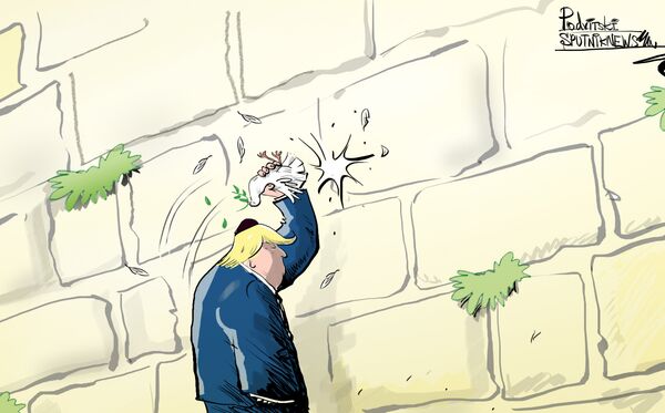 Donald Trump a déclaré que les États-Unis ont reconnu Jérusalem comme capitale d'Israël - Sputnik Afrique