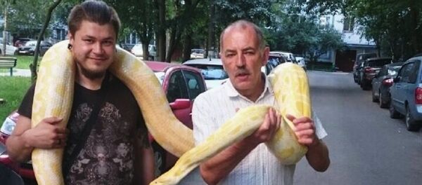 Jafar - Sputnik Afrique