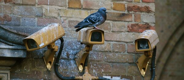 Caméra de vidéosurveillance - Sputnik Afrique