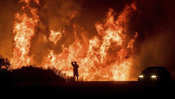 A motorists on Highway 101 watches flames from the Thomas fire leap above the roadway north of Ventura, Calif., on Wednesday, Dec. 6, 2017. - Sputnik Afrique