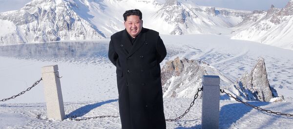 Le dirigeant nord-coréen Kim Jong-un Le dirigeant nord-coréen Kim Jong-un - Sputnik Afrique