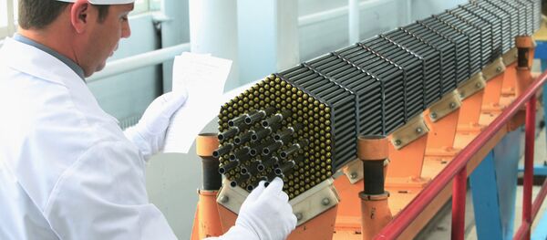Nuclear power reactor fuel assembly at the Novosibirsk Chemical Concentrate Works - Sputnik Afrique