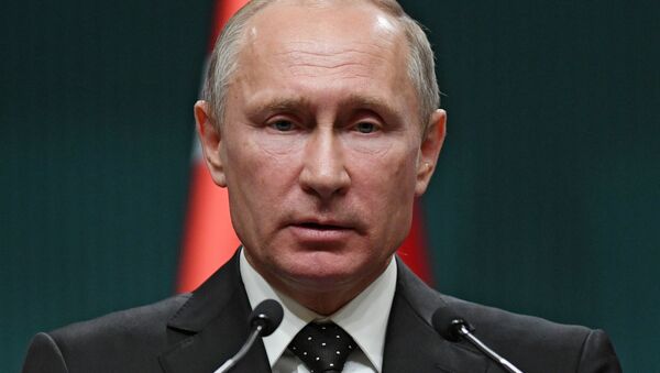 Рабочий визит президента РФ В. Путина в Турцию - Sputnik Afrique