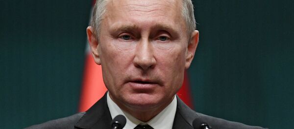 Рабочий визит президента РФ В. Путина в Турцию - Sputnik Afrique