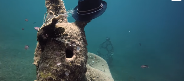 Diver Finds Donkey Statue Wearing Hat - Sputnik Afrique