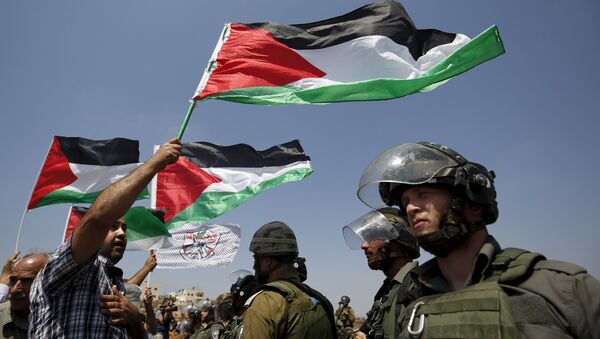 A Palestinian protester holds a Palestinian flag as he stands in front of Israeli border policemen during a protest against Jewish settlements in the West Bank village of Nabi Saleh, near Ramallah September 4, 2015. - Sputnik Afrique