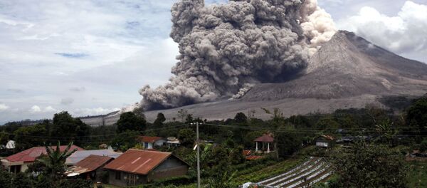 Sumatra - Sputnik Afrique