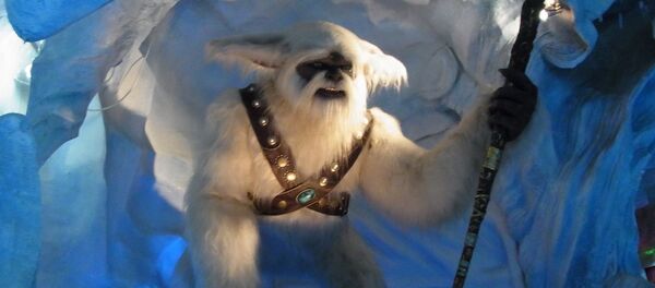 Yeti - Sputnik Afrique