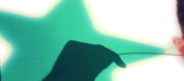 Congressiste US: Assad envoie Trump «se faire f…» en reprenant les vols depuis Shayrat Congressiste US: Assad envoie Trump «se faire f…» en reprenant les vols depuis Shayrat - Sputnik Afrique