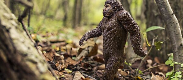 évolution - Sputnik Afrique