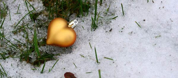 Un sapin de Noel - Sputnik Afrique