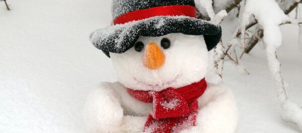 un bonhomme de neige - Sputnik Afrique