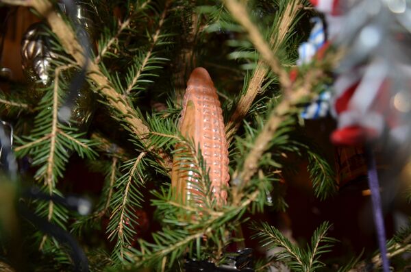 Epi de maïs - Sputnik Afrique