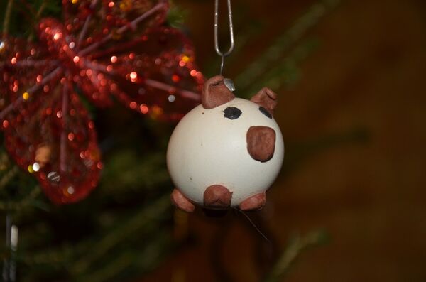 Un porc en coquille d’œuf fait maison pour sapin de Noël - Sputnik Afrique