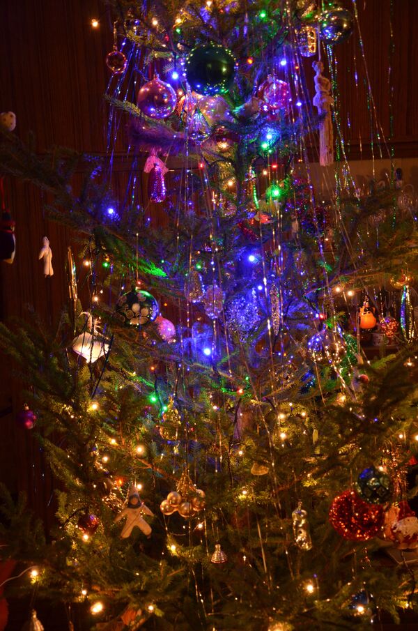 Sapin de Noël - Sputnik Afrique