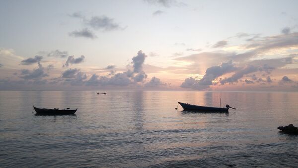 La vue sur l'océan, Maldives - Sputnik Afrique