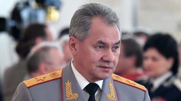 Le ministre russe de la Défense Sergueï Choïgou - Sputnik Afrique