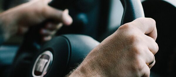 A driver behind the wheel - Sputnik Afrique