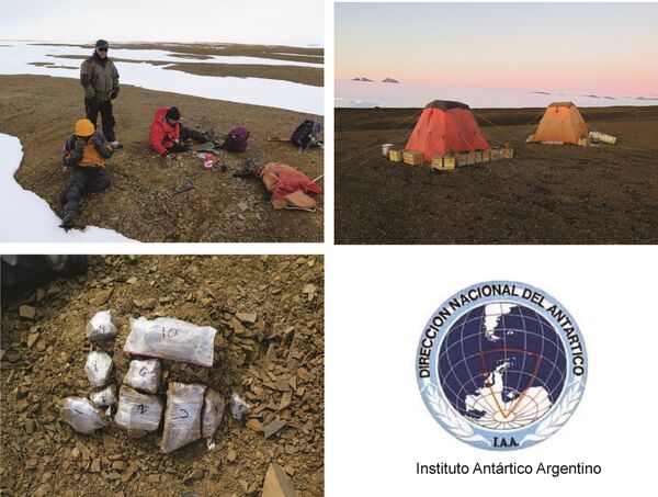 expédition en Antarctique - Sputnik Afrique