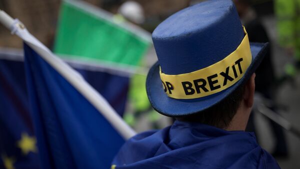 An Anti-Brexit protestor's hat displays the words 'Stop Brexit' as he stands outside the Houses of Parliament in London, Britain December 5, 2017. - Sputnik Afrique