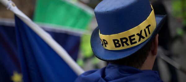 An Anti-Brexit protestor's hat displays the words 'Stop Brexit' as he stands outside the Houses of Parliament in London, Britain December 5, 2017. - Sputnik Afrique
