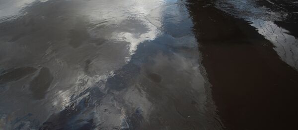 Une nappe de pétrole - Sputnik Afrique