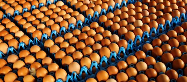 Des oeufs - Sputnik Afrique