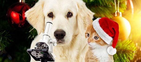 New Year's science - Sputnik Afrique