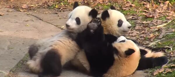 «Je ne suis pas un banc!» - Sputnik Afrique