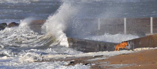 France, la tempête - Sputnik Afrique
