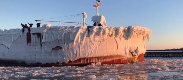 Un énorme navire glacé entre dans un port US - Sputnik Afrique