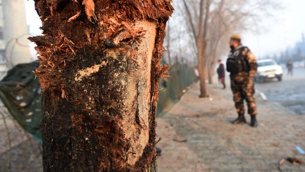 Marks on a tree are seen as Afghan security personnel investigate the site of the January 4 suicide attack in Kabul on January 5, 2018. - Sputnik Afrique