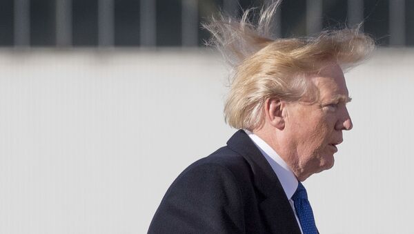 Prezydent USA Donald Trump - Sputnik Afrique