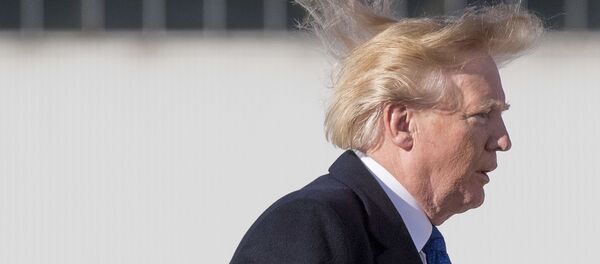 Prezydent USA Donald Trump - Sputnik Afrique